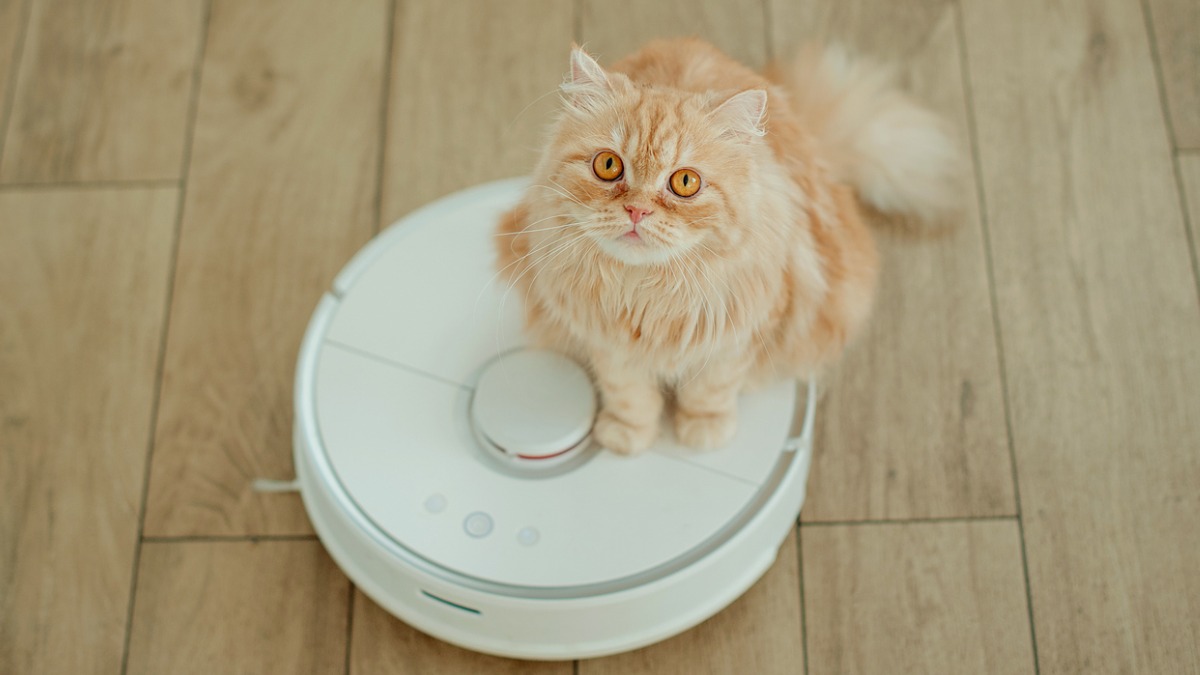 de beste robotstofzuiger